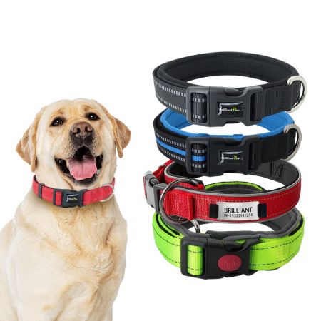 Collare per cani imbottito in neoprene all'ingrosso - Collare per cani imbottito riflettente all'ingrosso